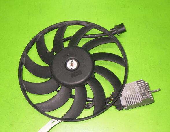 Radiator Electric Fan  Motor AUDI A6 Avant (4F5, C6), AUDI A6 (4F2, C6)