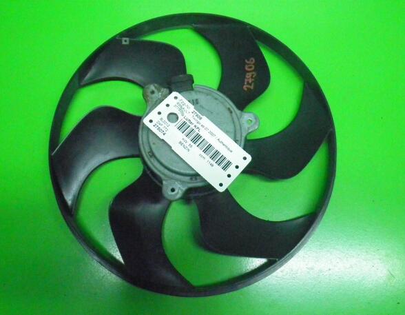 Radiator Electric Fan  Motor RENAULT TWINGO II (CN0_), RENAULT CLIO III (BR0/1, CR0/1), RENAULT CLIO IV (BH_)