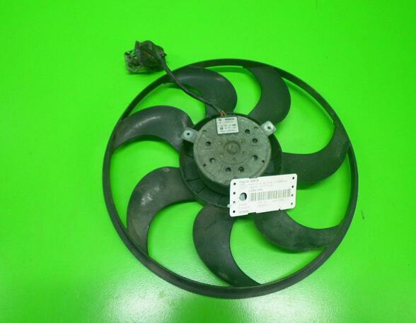 Radiator Electric Fan  Motor OPEL ASTRA G Hatchback (T98)