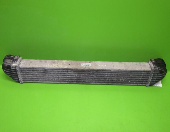 Intercooler MERCEDES-BENZ A-Klasse (W169)