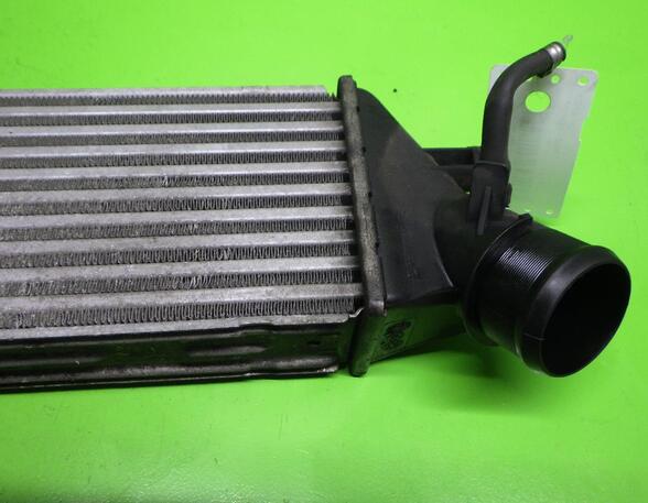 Intercooler FIAT ULYSSE (179_), LANCIA PHEDRA (179_)