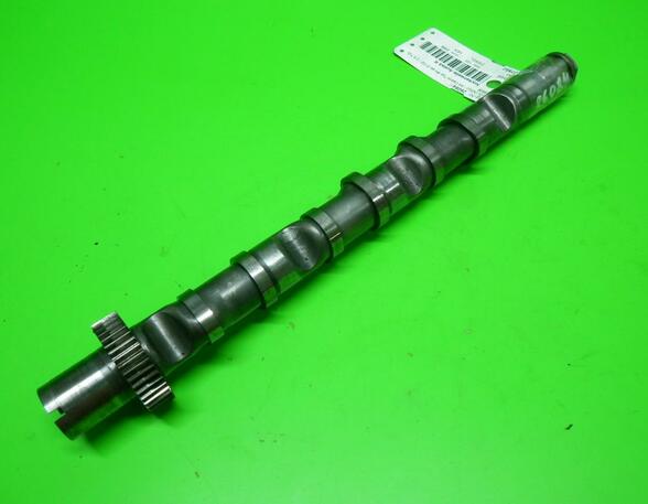 Camshaft AUDI A4 Cabriolet (8H7, 8HE, B6, B7), AUDI A4 Allroad (8KH, B8), AUDI A4 Avant (8K5, B8)