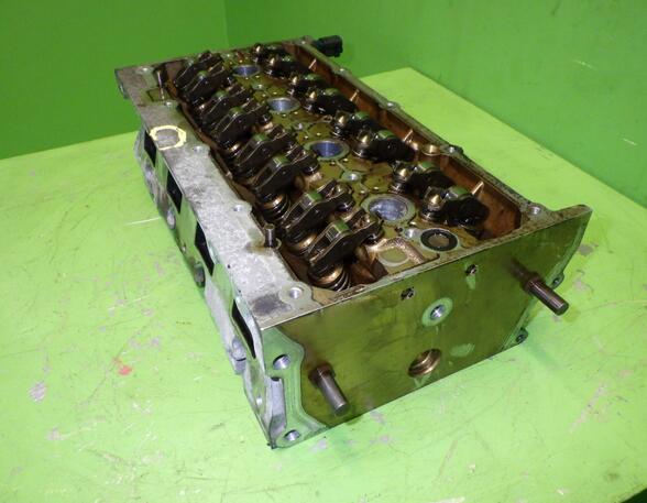 Cylinder Head AUDI A3 (8P1), AUDI A3 Sportback (8PA)