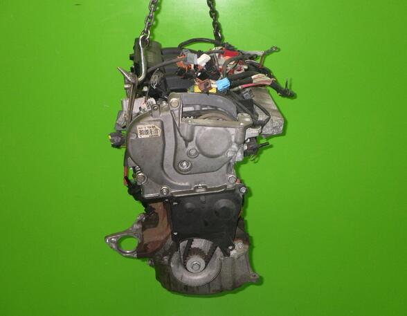 Bare Engine RENAULT Megane II (BM0/1, CM0/1)