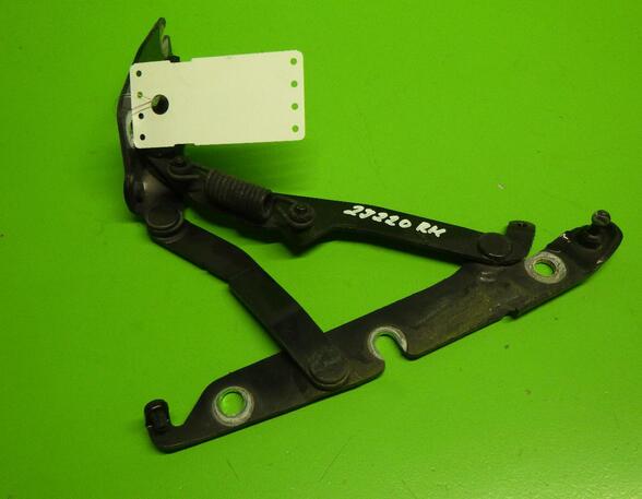 Heckklap hinge AUDI A6 (4F2, C6)