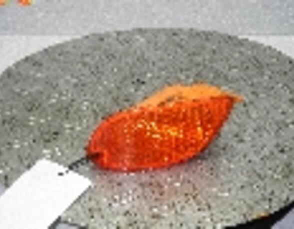 Direction Indicator Lamp FORD FOCUS (DAW, DBW)