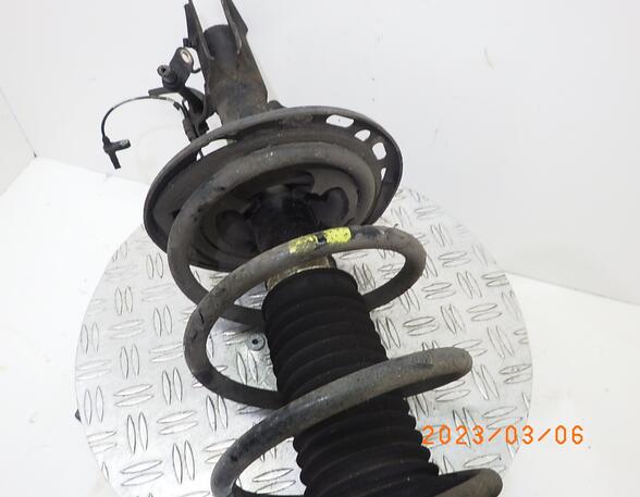 Suspension Strut TOYOTA RAV 4 III (A3)