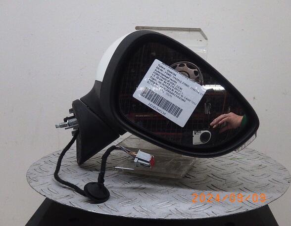 Wing (Door) Mirror FORD FIESTA VI (CB1, CCN)