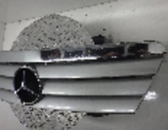 Radiator Grille MERCEDES-BENZ A-KLASSE (W168)