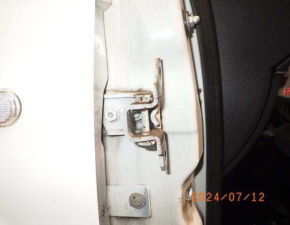 Door Hinge RENAULT TWINGO II (CN0_)