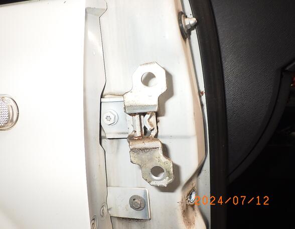 Door Hinge RENAULT TWINGO II (CN0_)