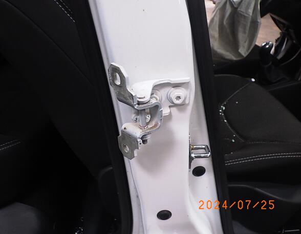 Door Hinge RENAULT CLIO IV (BH_)