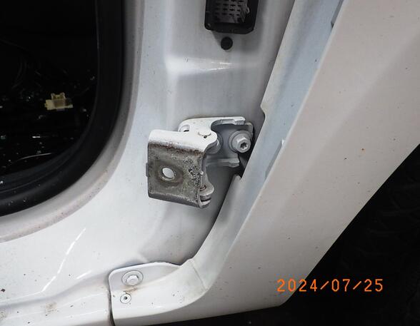 Door Hinge RENAULT CLIO IV (BH_)