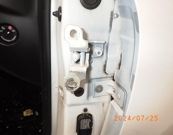 Door Hinge RENAULT CLIO IV (BH_)