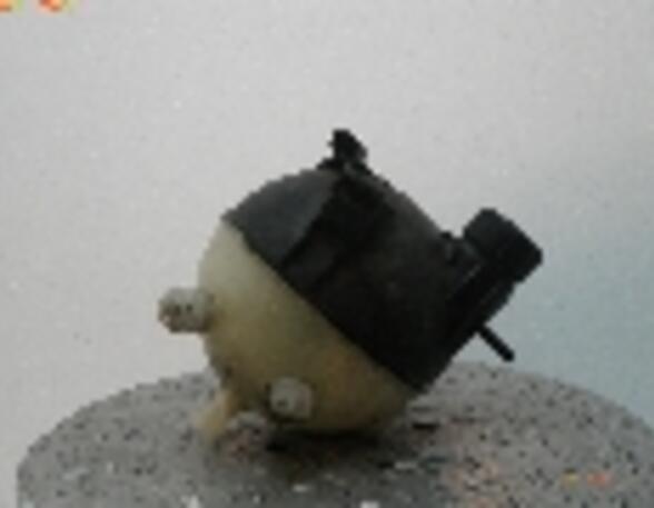 Coolant Expansion Tank MERCEDES-BENZ A-KLASSE (W169)