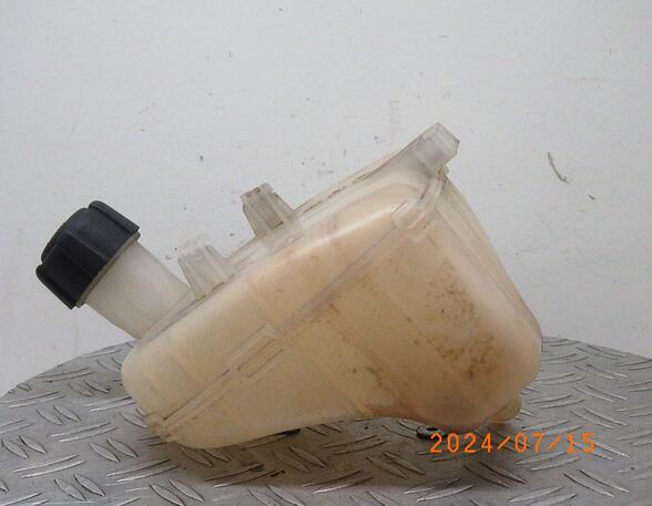 Coolant Expansion Tank RENAULT TWINGO II (CN0_)