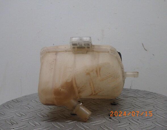 Coolant Expansion Tank RENAULT TWINGO II (CN0_)