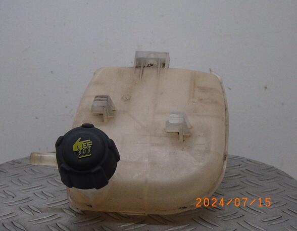 Coolant Expansion Tank RENAULT TWINGO II (CN0_)