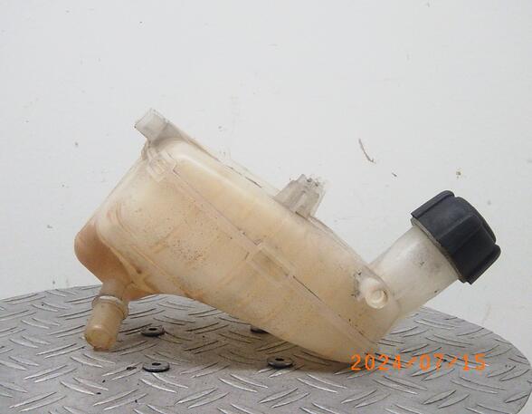 Coolant Expansion Tank RENAULT TWINGO II (CN0_)