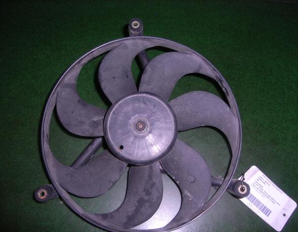 Radiator Electric Fan  Motor VW Lupo (60, 6X1)