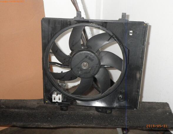 Radiator Electric Fan  Motor PEUGEOT 207 (WA, WC)