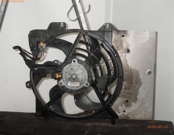 Radiator Electric Fan  Motor PEUGEOT 207 (WA, WC)