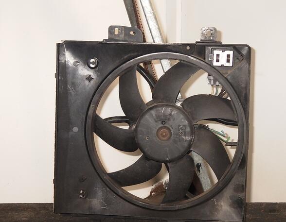 Radiator Electric Fan  Motor PEUGEOT 207 (WA, WC)