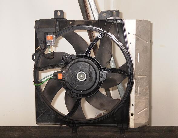 Radiator Electric Fan  Motor PEUGEOT 207 (WA, WC)