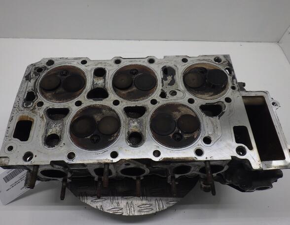 Cylinder Head VW GOLF IV (1J1)