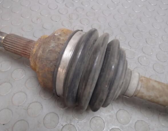 Drive Shaft FORD Focus (DAW, DBW)