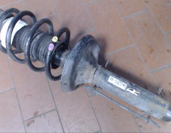 Suspension Strut AUDI A3 (8L1)