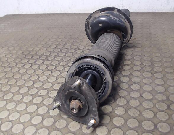 Suspension Strut FORD Transit Connect (P65, P70, P80)