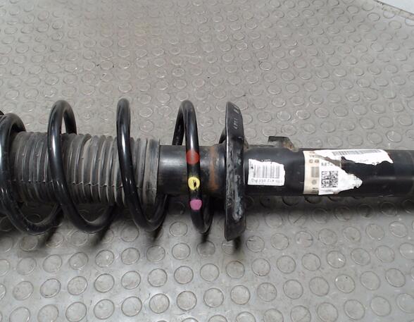 Suspension Strut VW Touran (1T3), VW Touran (1T1, 1T2)