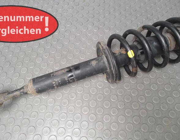 Suspension Strut VW Passat Variant (3B6)