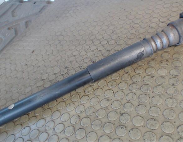 Shock Absorber FORD Focus (DAW, DBW)