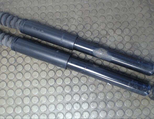 Shock Absorber RENAULT Clio III (BR0/1, CR0/1)