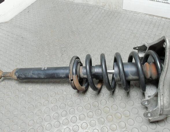 Shock Absorber AUDI A6 Avant (4F5, C6)