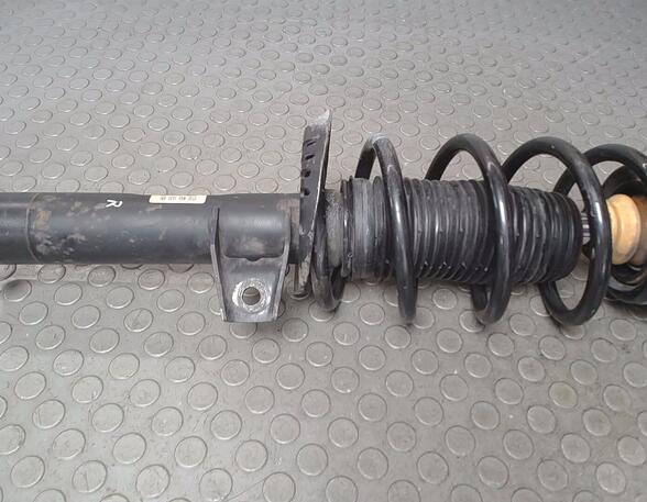 Shock Absorber SEAT TOLEDO III (5P2)