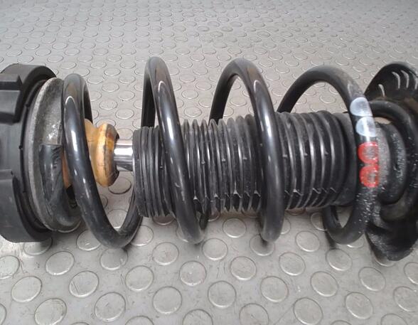 Shock Absorber SEAT TOLEDO III (5P2)