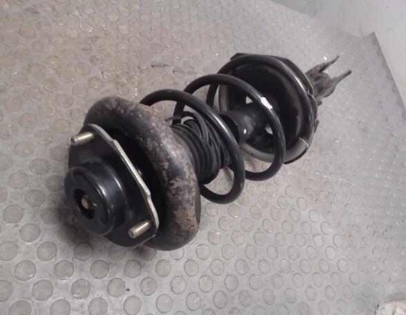 Shock Absorber NISSAN ALMERA TINO (V10)