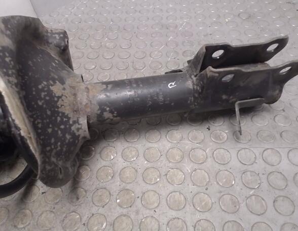 Shock Absorber NISSAN ALMERA TINO (V10)