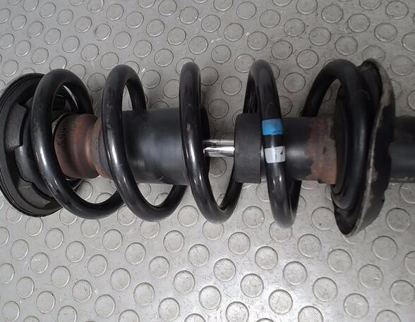 Shock Absorber VW PASSAT Variant (3B5)