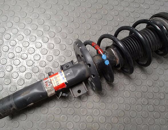 Shock Absorber VW POLO (9N_)