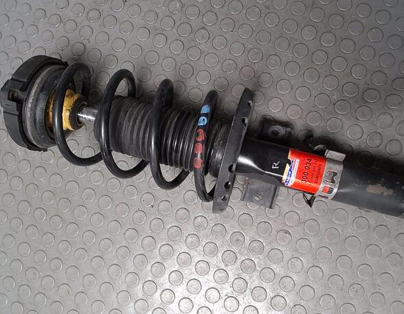 Shock Absorber VW POLO (9N_)