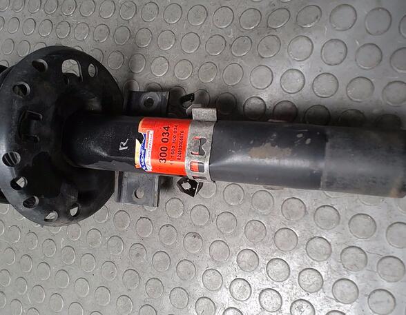 Shock Absorber VW POLO (9N_)