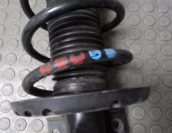 Shock Absorber VW POLO (9N_)