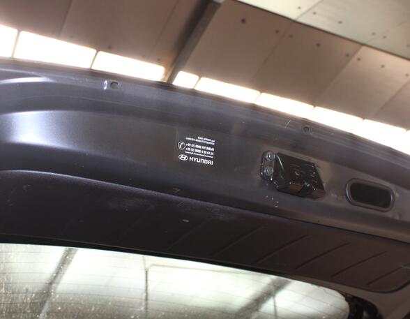 Boot (Trunk) Lid HYUNDAI i10 (PA)