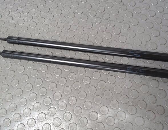 Bootlid (Tailgate) Gas Strut Spring SEAT TOLEDO III (5P2)