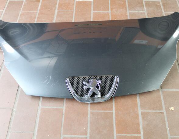 Radiateurgrille PEUGEOT 107 (PM, PN)