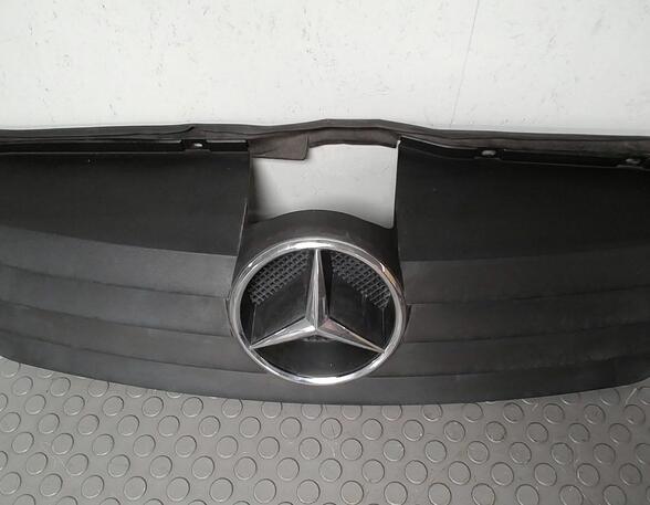 Radiateurgrille MERCEDES-BENZ Vaneo (414)